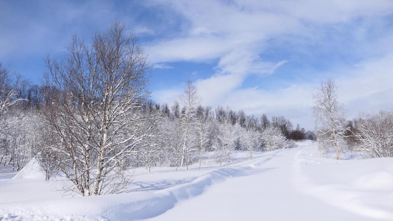 Wild Caribou'S Wildwood Cabin Lakselv Extérieur photo